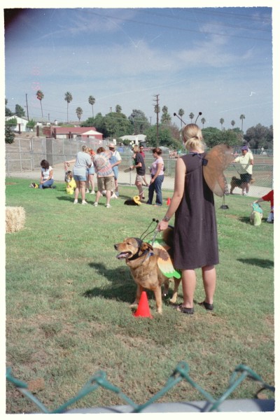 ../Images/antennae.jpg