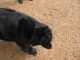 Thumbs/tn_newfie1.jpg