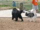 Thumbs/tn_newfie2.jpg