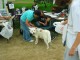 Thumbs/tn_Jonah-0002.jpg